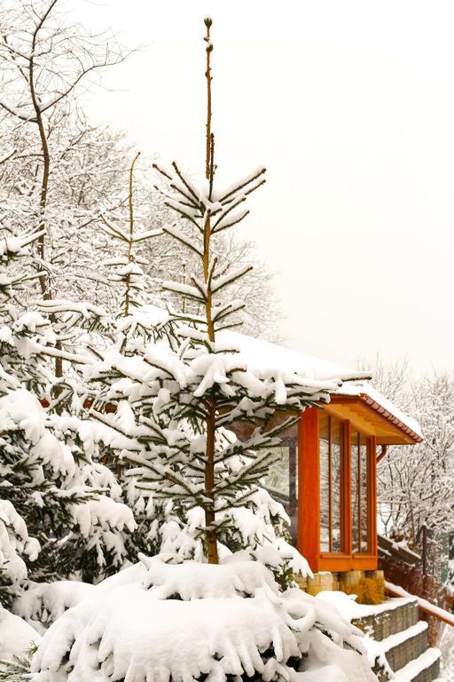 Janda Resort & Conference Мшана Долна Екстериор снимка